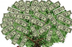 A tree is covered with dollar bills